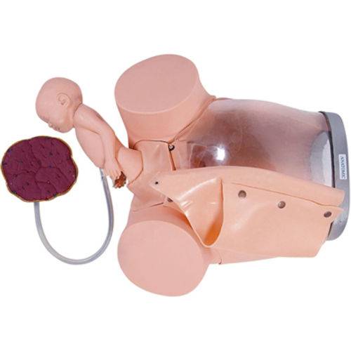 Assistência Técnica, SAC e Garantia do produto Simulador de Parto com Cervix, Episiotomia e Feto com Placenta Anatomic - Tgd-0374-e