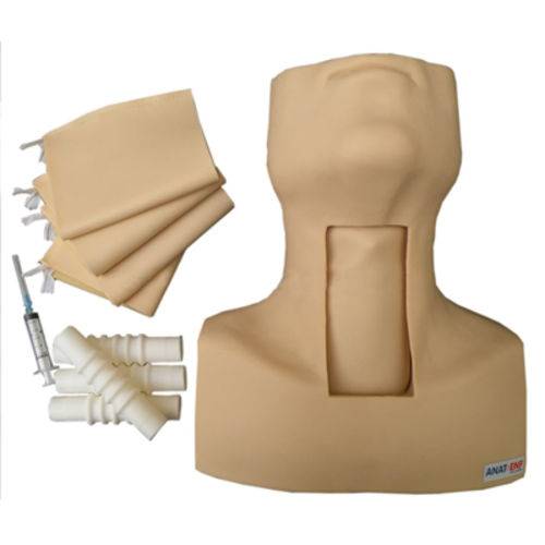 Assistência Técnica, SAC e Garantia do produto Simulador de Traqueostomia - Anatomic - Tgd-4058