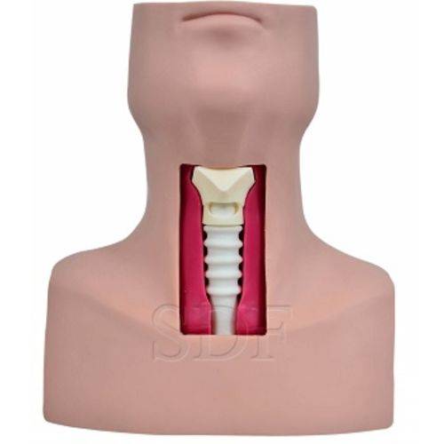Assistência Técnica, SAC e Garantia do produto Simulador de Traqueostomia - Sdorf - Cod: Sd-4047