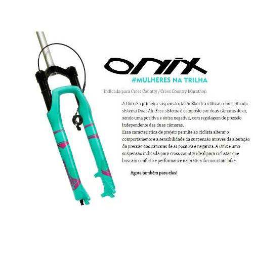 Assistência Técnica, SAC e Garantia do produto Suspensão Proshock Onix Aro 29 Espiga Reta 100m Mulheres