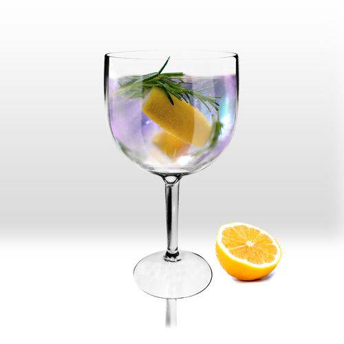 Assistência Técnica, SAC e Garantia do produto Taça para Gin Tônica Acrílico Transparente 550 Ml