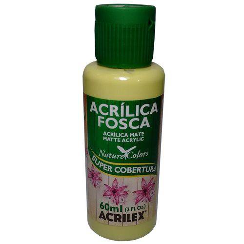 Assistência Técnica, SAC e Garantia do produto Tinta Acrílica Verde Alecrim Acrilex (60ml)