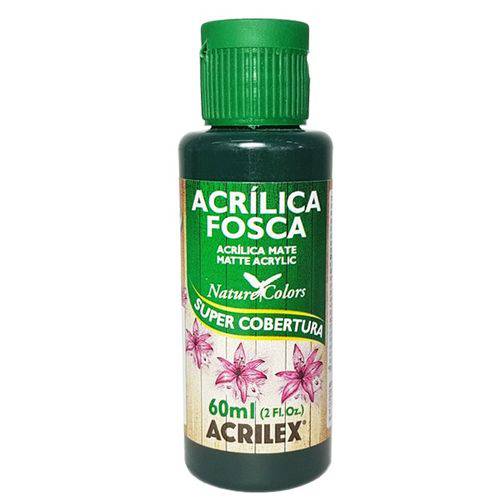 Assistência Técnica, SAC e Garantia do produto Tinta Acrílica Verde Esmeralda Acrilex (60ml)