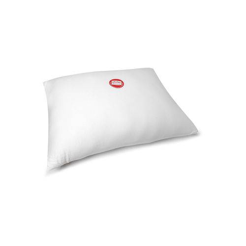 Assistência Técnica, SAC e Garantia do produto Travesseiro Allemand Nasa Plume 50x70cm Branco