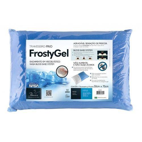 Assistência Técnica, SAC e Garantia do produto Travesseiro Frostygel Nasa Visco com Suporte de Altura