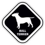 Assistência Técnica e Garantia do produto Adesivo Bull Terrier