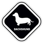 Assistência Técnica e Garantia do produto Adesivo Dachshund