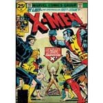 Assistência Técnica e Garantia do produto Adesivo de Parede X-Men Issue #100 Comic Cover Giant Wall Decal Roommates Colorido (46x12,8x2,8cm)