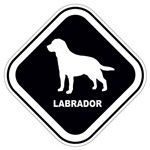 Assistência Técnica e Garantia do produto Adesivo Labrador