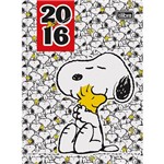 Assistência Técnica e Garantia do produto Agenda Diária 2016 Snoopy Brochura - Tilibra
