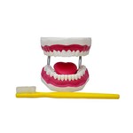 Assistência Técnica e Garantia do produto Arcada Dentária Ampliada com Língua e Escova - Sdorf - Cód: Sd-5059