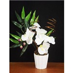Assistência Técnica e Garantia do produto Arranjo de Orquídeas Artificiais Brancas Lith - Flores Arranjo Vasos Festas Mesas