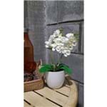 Assistência Técnica e Garantia do produto Arranjo de Orquideas Artificiais Pequeno - Vaso Branco - Flores Artificiais