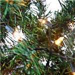 Assistência Técnica e Garantia do produto Árvore de Natal com Pisca 1.5m 220v