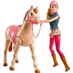 Assistência Técnica e Garantia do produto Barbie Family Boneca com Cavalo - Mattel