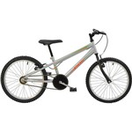 Assistência Técnica e Garantia do produto Bicicleta Infantil Polimet MTB Aro 20 Masculina Prata