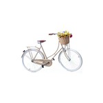 Assistência Técnica e Garantia do produto Bicicleta Vintage Retro Feminina Vênus Dourada com Cesta de Palha - Echo Vintage