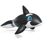 Assistência Técnica e Garantia do produto Boia Baleia Orca - Mor