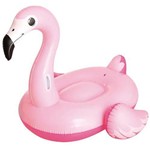 Assistência Técnica e Garantia do produto Boia Flamingo G