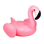 Assistência Técnica e Garantia do produto Bóia Flamingo Gigante