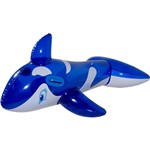 Assistência Técnica e Garantia do produto Boia Golfinho Azul - Mor