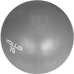 Assistência Técnica e Garantia do produto Bola de Ginástica Gym Ball com Bomba - Vollo Sports