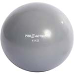 Assistência Técnica e Garantia do produto Bola de Ginástica Proaction Tonning Ball - 4Kg Cinza