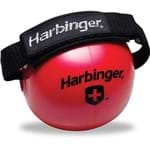 Assistência Técnica e Garantia do produto Bola Fitness de Peso C/ Faixa 4lb 1,8kg Vermelha - Harbinger