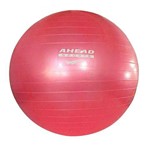 Assistência Técnica e Garantia do produto Bola para Ginástica 55cm Ahead Sports Vermelho
