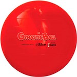 Assistência Técnica e Garantia do produto Bola para Pilates Gynastic Ball 55 Cm - Carci