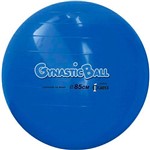 Assistência Técnica e Garantia do produto Bola para Pilates Gynastic Ball 85 Cm - Carci