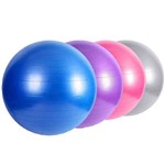 Assistência Técnica e Garantia do produto Bola Suíça Pilates Yoga 65cm Treino Funcional