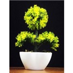 Assistência Técnica e Garantia do produto Bonsai Artificial Colorido - Cores Mini Árvore Japonesa Vaso Poda Arranjo Verde Amarelo Branco