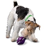Assistência Técnica e Garantia do produto Brinquedo para Cães Twist'n Treat M - Premier