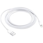 Assistência Técnica e Garantia do produto Cabo Apple Lightning para USB - 2M