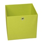 Assistência Técnica e Garantia do produto Caixa Organizadora 30cmx28cm Acasa Móveis Verde