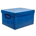 Assistência Técnica e Garantia do produto Caixa Organizadora Dello Pequena Azul