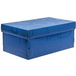 Assistência Técnica e Garantia do produto Caixa Organizadora Dellosmile Mini Azul