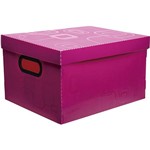 Assistência Técnica e Garantia do produto Caixa Organizadora Dellosmile Pequena Rosa Pink