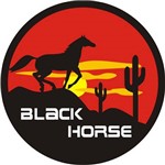 Assistência Técnica e Garantia do produto Capa para Estepe Carrhel Cavalo Negro com Cadeado - Crossfox / Ecosport / Doblo/Aircross
