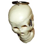 Assistência Técnica e Garantia do produto Chaveiro Crânio Anatomic - Código: Tgd-0185-c