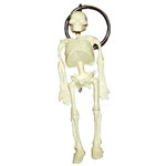Assistência Técnica e Garantia do produto Chaveiro Mini - Esqueleto - Anatomic - Código: Tgd-0185-a