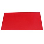 Assistência Técnica e Garantia do produto Colchonete Eva Academia Yoga Abdominal - Vermelho