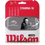 Assistência Técnica e Garantia do produto Corda Stamina 16 40´ Wilson