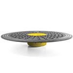 Assistência Técnica e Garantia do produto Disco de Equilíbrio - Balanz Board - SKLZ