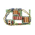 Assistência Técnica e Garantia do produto Divisor de Frequência Df953ti Nenis 3 Vias 950 Watts Df 953