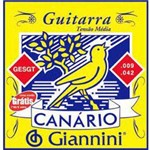 Assistência Técnica e Garantia do produto Encordoamento P/ Guitarra GESGT - Giannini