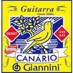 Assistência Técnica e Garantia do produto Encordoamento para Guitarra GESGT - Giannini