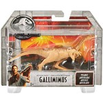 Assistência Técnica e Garantia do produto Figura Jurassic World 2 Gallimimus FPF11/FPF15 - Mattel