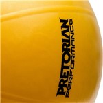 Assistência Técnica e Garantia do produto Fit Ball Pro Pretorian Performance 55CM - FBP-55-PP